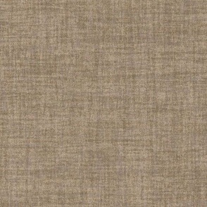 Solid Brown Plain Brown Natural Texture Celebrate Color Mushroom Brown Gray Taupe 9D8C71 Subtle Modern Abstract Geometric