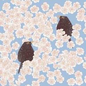 Cherry Blossoms and blackbird