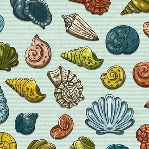 Colorful Seashells on the Ocean's Beach / Small Scale