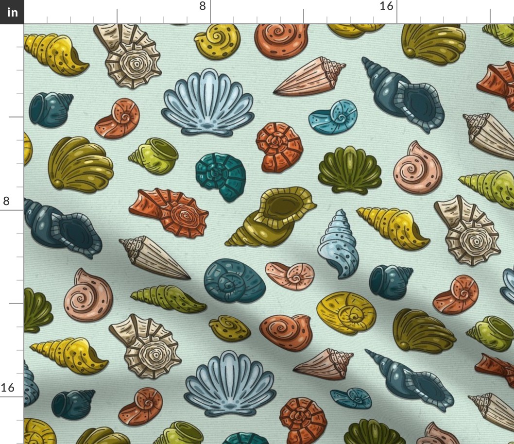 Colorful Seashells on the Ocean's Beach / Medium Scale