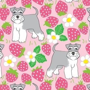 large Schnauzers and pink strawberries