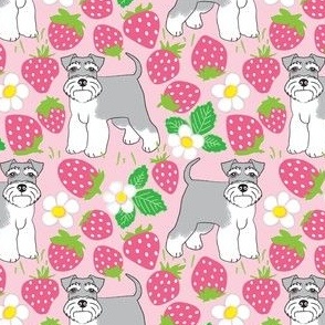 medium schnauzers and pink strawberries