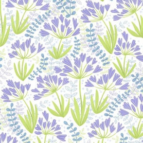 Pastel comforts - agapanthus_white-large