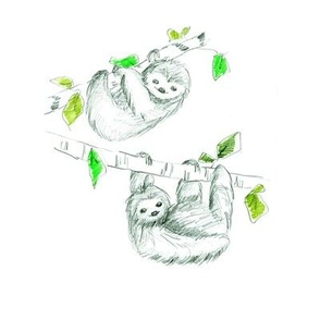 sloth friends