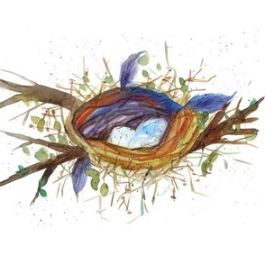 blue bird nest