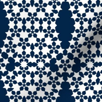 Starflower Lace Navy