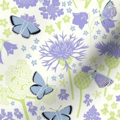 Chalkhill Blue Butterflies