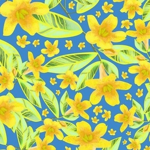midsize | bright contrasty floral - jasmine flowers in yellow & blue