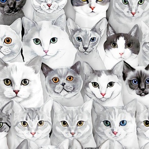 Cute Cats Grey, XXL, 24"x19"