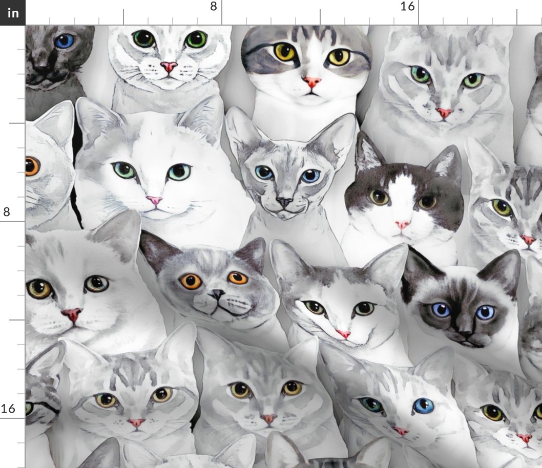 Cute Cats Grey, XXL, 24"x19"