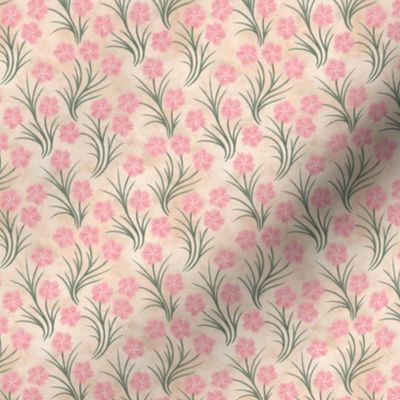 Vintage Wildflower Cheddar Pink | Small Scale