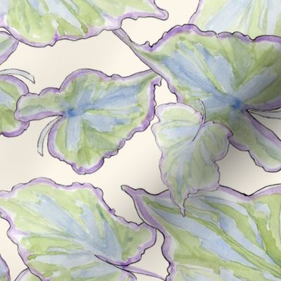 pastel-comfort-hydrangea-leaves-