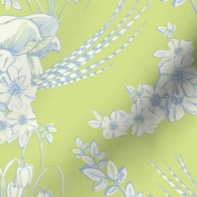 Pastel Toile