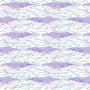 Lilac Whales