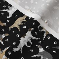 Tiny Trotting Silken Windhounds and paw prints - black