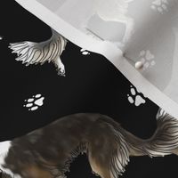 Trotting Silken Windsprites and paw prints - black