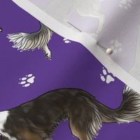 Trotting Silken Windsprites and paw prints - purple