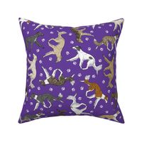 Trotting Silken Windsprites and paw prints - purple