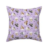 Tiny Basset hounds - purple