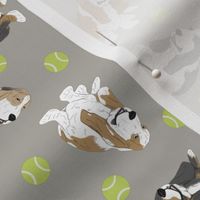 Tiny Basset hounds - tennis balls