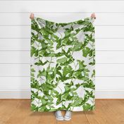 Fig Leaf Large Scale