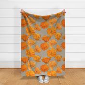 California poppies with beige background