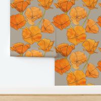 California poppies with beige background