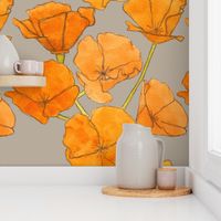 California poppies with beige background