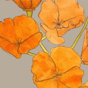 California poppies with beige background