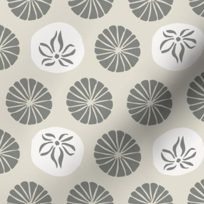 sand dollars - grey and white - neutral