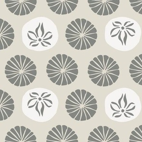 sand dollars - grey and white - neutral