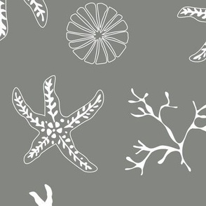 Large - Starfish and Shells underwater:  White on grey