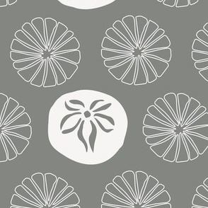 sand dollars white on grey - neutral