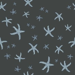 Starfish Scatter - small - blue and grey -multi-directional