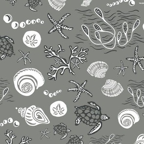 Medium- Turtles, shells and starfish underwater - Grey & white - neutral