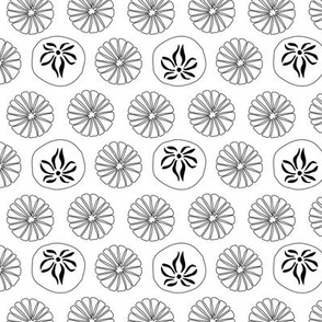 (small) Sand dollars - black lines on white - neutral