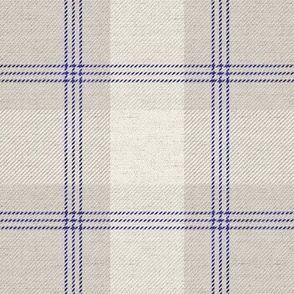 Tan & Navy Plaid on Texture