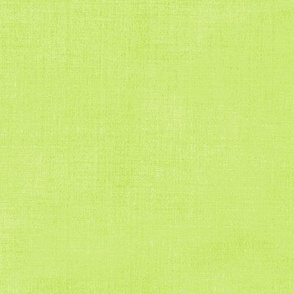 Honeydew Green Canvas // Petal Solids - Pastel Comforts