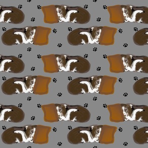 English Springer Spaniel on Brown PIllow Gray Background