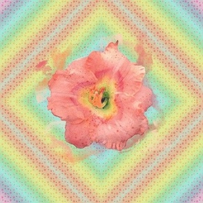 11x9-inch Repeat of Rainbow Diamonds with Peach Daylily Watercolor