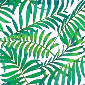 Exotic palm leaves
