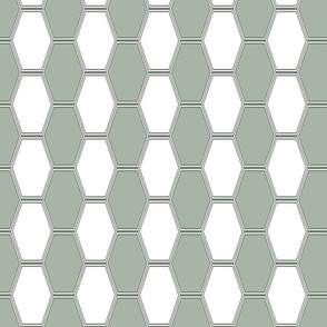 Elongated_Hexagon_Columns__Green_Spring