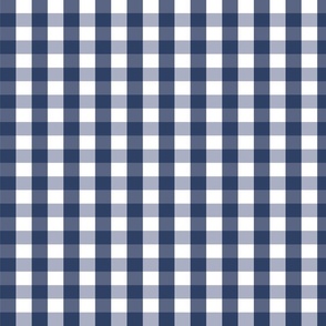 Southern Navy Gingham