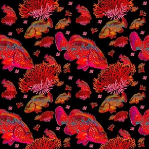 Tropical Fish and Coral / on black background 