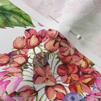 Watercolor pink hydrangea