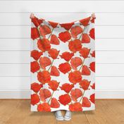 California poppies in red - Giant scale