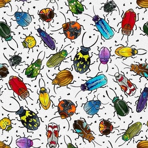 Colorful Watercolor Beetles 