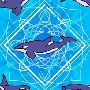 complicated diamond orcas with bubbles 