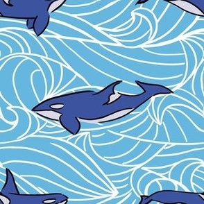 orca and waves