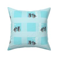 baby blue koalas gingham